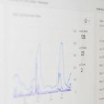 National SEO on a Budget: How to Get More Organic Traffic Without Paying Agency Prices 1981-digital-bf9sZBcGQl4-unsplash